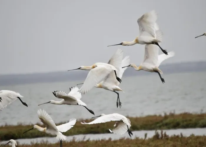 80 M Plage, Casa Christine By Sesimbrasunsea Apartment Sesimbra